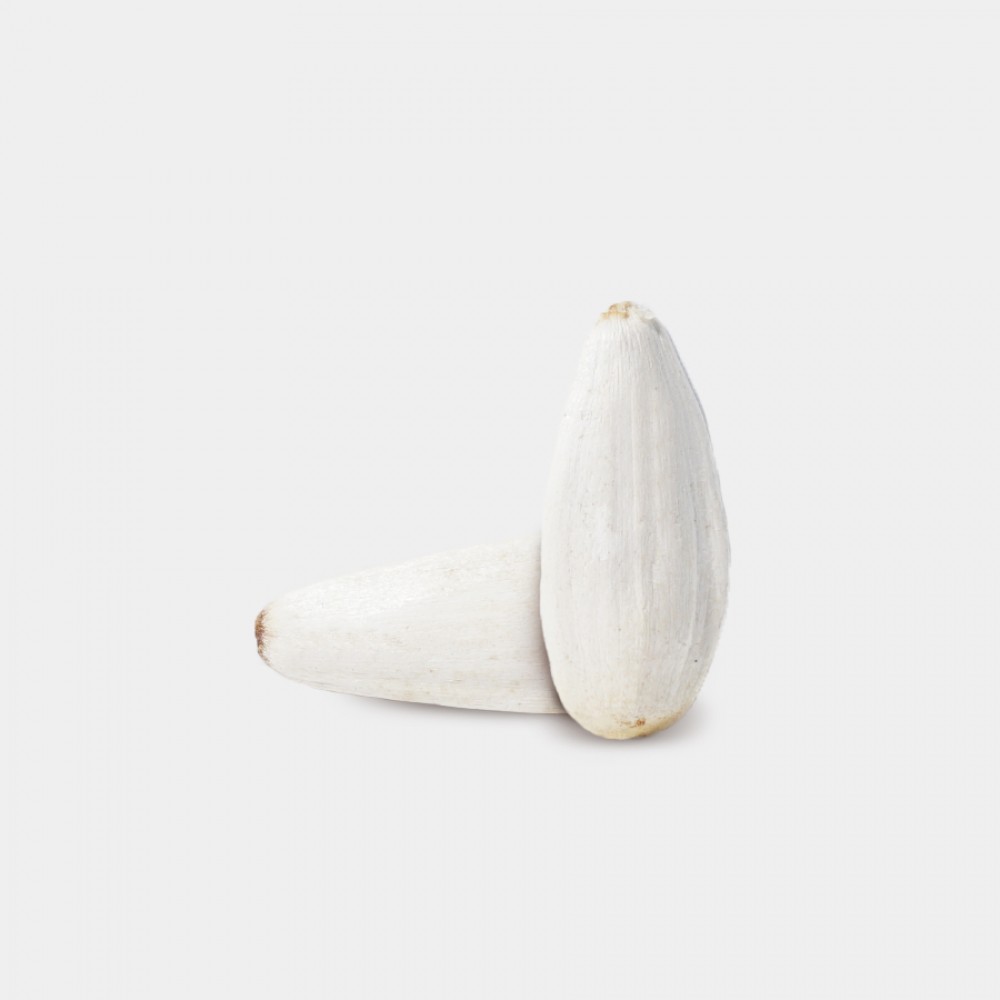 Ayçekideği Beyaz Kavrulmuş