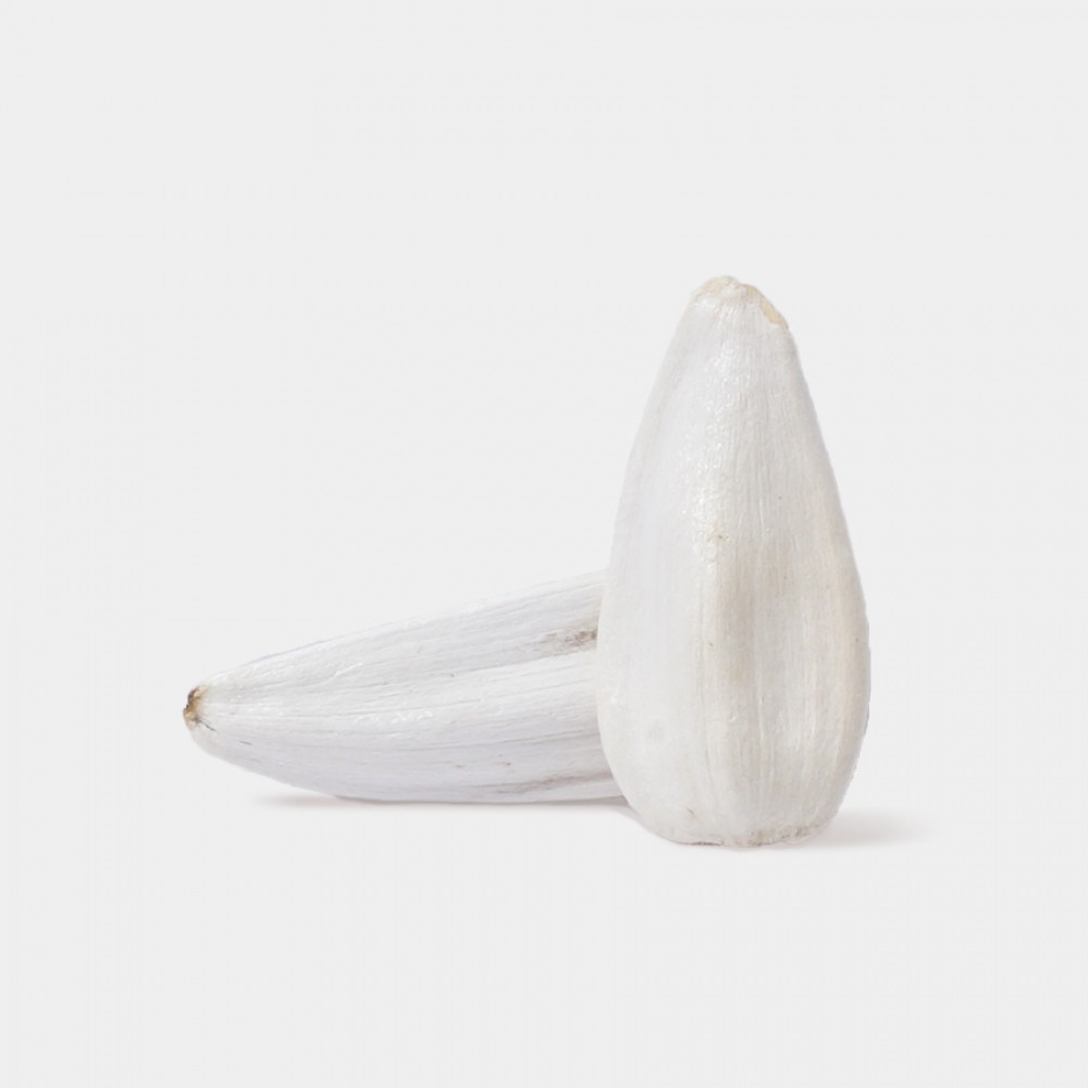 Ayçekirdeği Beyaz Çiğ